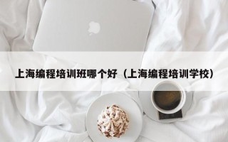 上海编程培训班哪个好（上海编程培训学校）