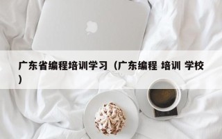 广东省编程培训学习（广东编程 培训 学校）