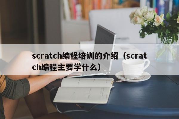 scratch编程培训的介绍（scratch编程主要学什么）-第1张图片